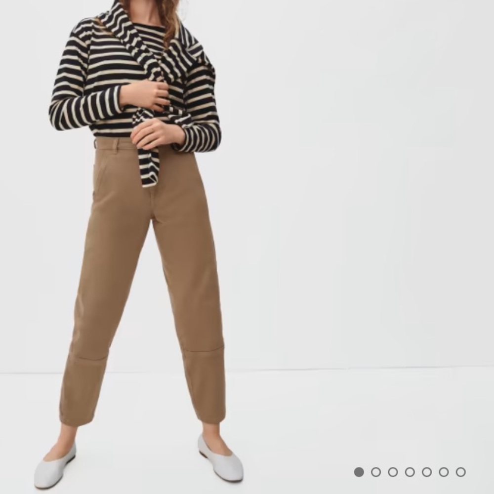 Everlane The Utility Barrel Pant